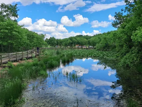 BİGA - NİLÜFER GÖLÜ - Fotoğraf 4