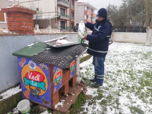 Biga Belediyesi Sokak Hayvanlarını Unutmadı - Fotoğraf 1