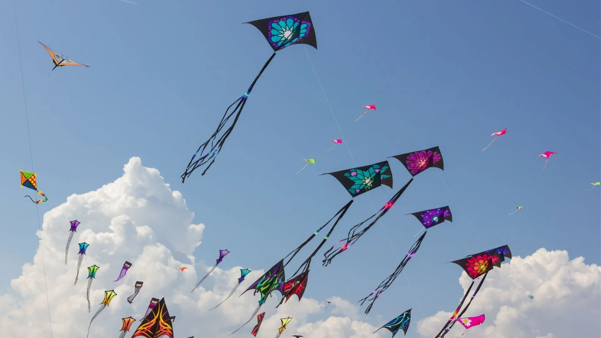 Biga Uçurtma Festivali